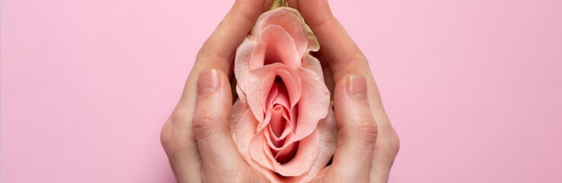 mulher-segurando-rosa-nas-maos-para-visualizacao-do-sistema-reprodutivo_peq